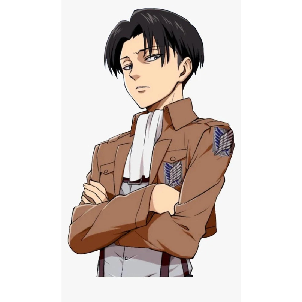Attack on titan jacket